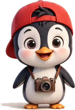 Marco chibi penguin with his backwards cap and camera